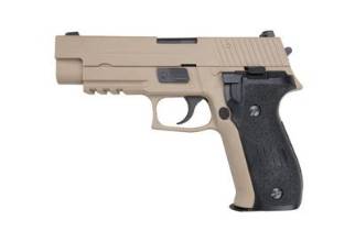 WE-F226 (Tan)
